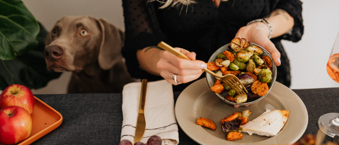 грамаж за хранене на куче