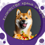 правилен грамаж за хранене на куче